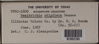 Image Associated With the Occurence